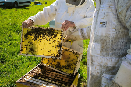 La Ferme du Télégraphe