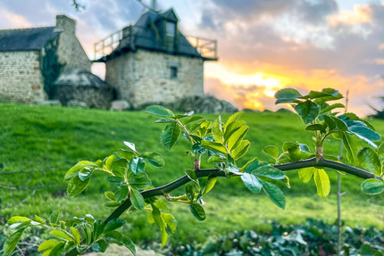 La Ferme du Télégraphe