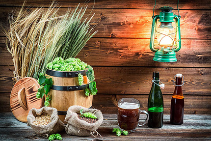 Brasserie Artisanale Fort Boyard