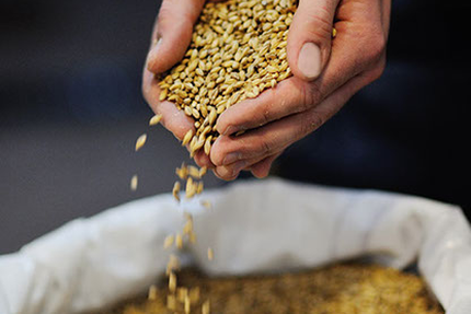 Brasserie Artisanale Fort Boyard