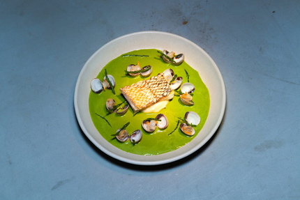 Le Plongeoir D'en Face