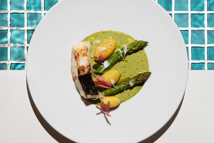 Le Plongeoir D'en Face