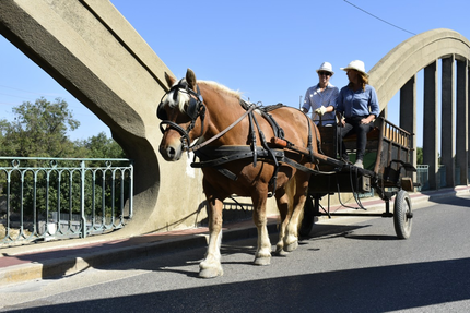 Le Potager du Vidourle