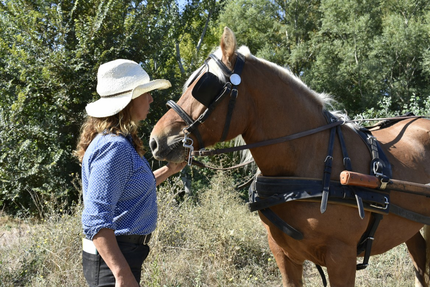 Le Potager du Vidourle