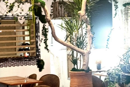 FLORABIO RESTAURANT BIO