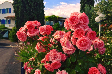 Restaurant Grec Le Bouzouki