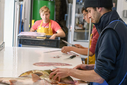Les Pêcheries Ligériennes / La Cabane à Matelot : restaurant - boutique - balades en bateau - cours de cuisine - traiteur