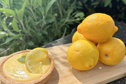 Restaurant - Le Spot Du Fort