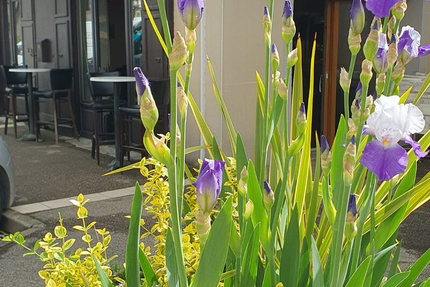 Côté Bouchon Côté Bistrot