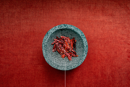 Alebrije - Restaurant Gastronomique Mexicain