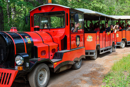 Restovaure, restaurant Dinopedia Parc