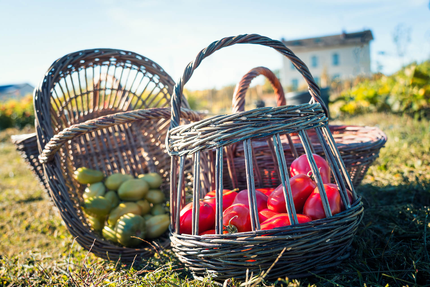 Restaurant Les Jardiniers - Chef Martin Bolaers