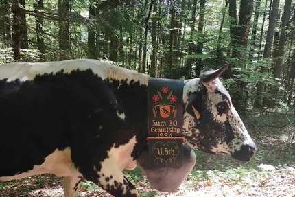 Ferme-Auberge du Belacker