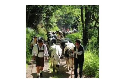 Ferme-Auberge du Belacker