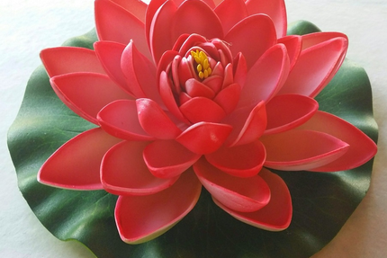 Le Petit d'Asie - Restaurant