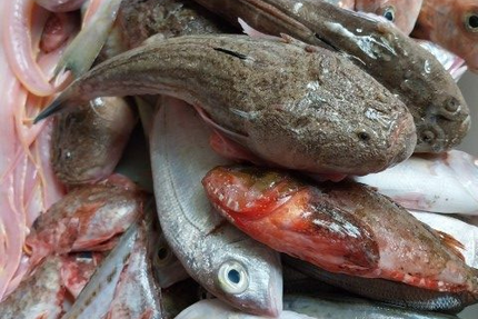 Le Chalet du Mini Golf