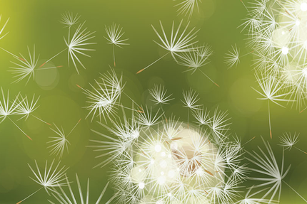 Restaurant Instants Partagés