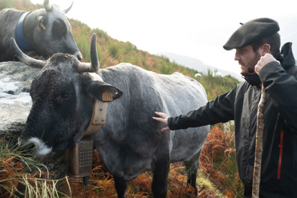 La Maison Lacube éleveurs