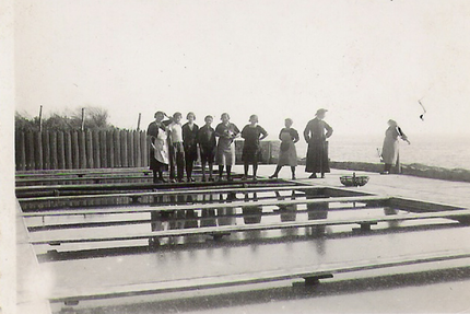 Loulou Côte Sauvage