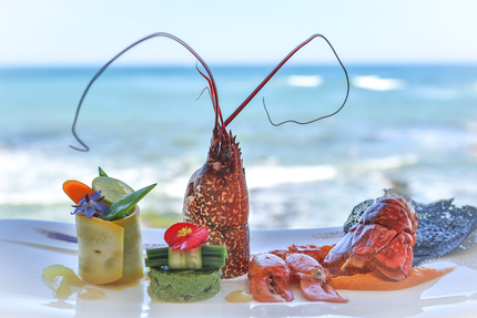 Loulou Côte Sauvage