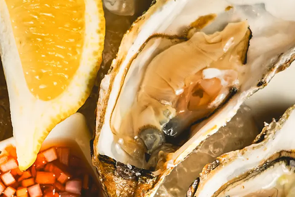 Le METEOR Vieux Port