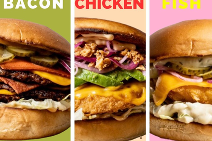 Green Farmer's Ajaccio