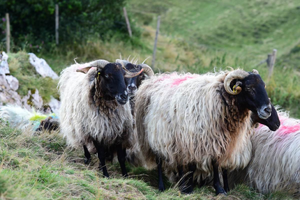 Hotel Restaurant du Pont Abense