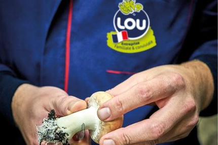 Pizza des p'tits circuits