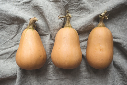 Restaurant Le Jardin Gourmand