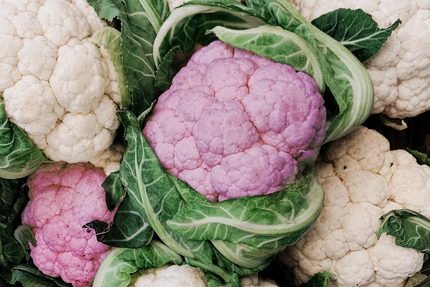 Restaurant Le Jardin Gourmand