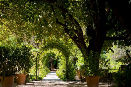 Restaurant Le Prieuré -Baumanière
