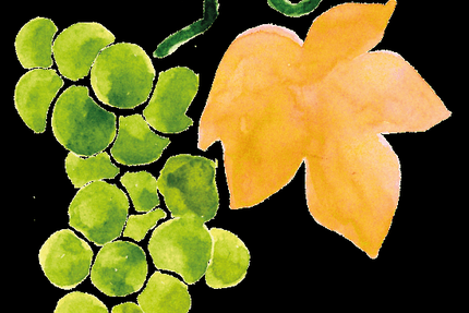 Bellevigne Bourgogne Restaurant