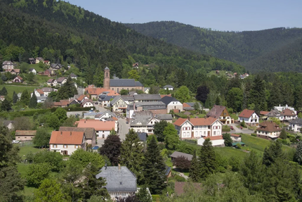 Gasser Guitre Michele