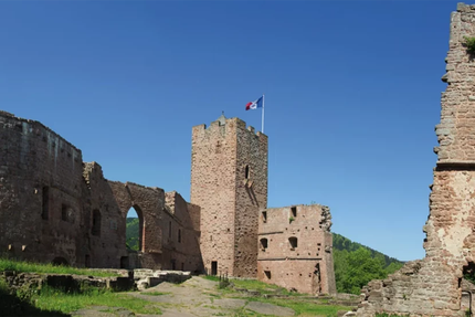 Gasser Guitre Michele