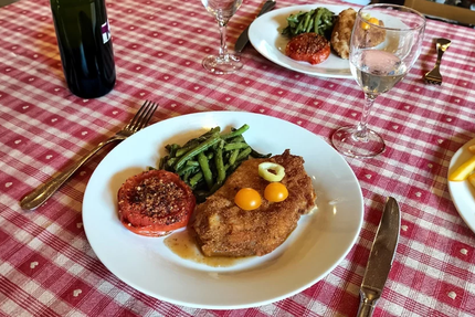 Gasser Guitre Michele