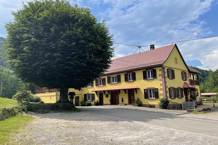 Gasser Guitre Michele