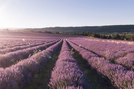 Restaurant Provençal La Margelle
