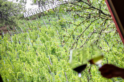 La Salle des Fêtes - Restaurant