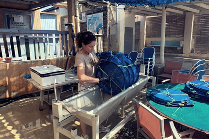 Le Cercle des Huîtres