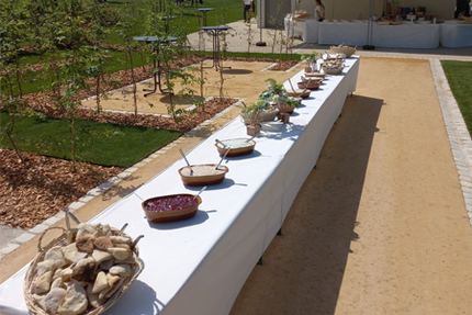 Tout Feu Tout Flamme