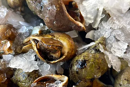 RESTAURANT "La Barque Bleue" à MEZE