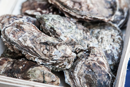 RESTAURANT "La Barque Bleue" à MEZE