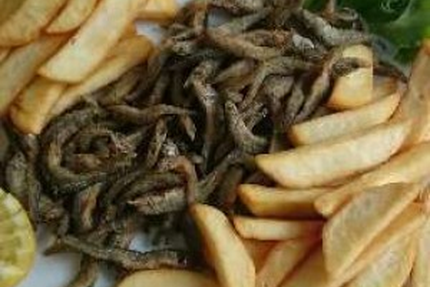 Restaurant le florida...Parc...bar...pizzeria