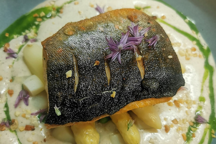 LE TEMPS DES SAISONS