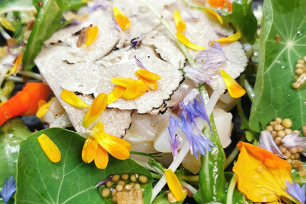 LE TEMPS DES SAISONS