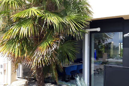 GOURMET DE GENAS - Restaurant