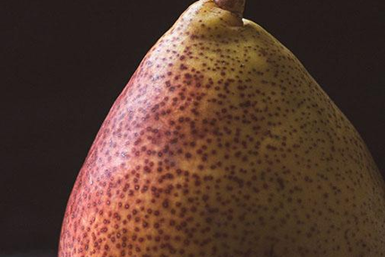 Bernie Et Vincent Table Gourmande