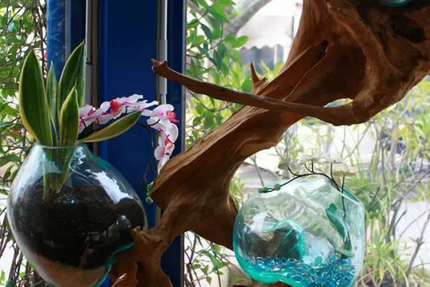 La Grimaudoise - Restaurant Grimaud