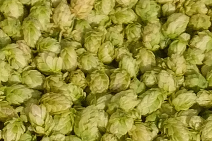 BRASSERIE DISTILLERIE CORDOEIL / EARL CORDOEIL