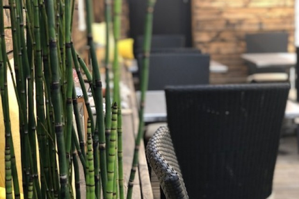 As de Trèfle restaurant gastronomique et véranda à déguster Caen/Bernières sur mer.